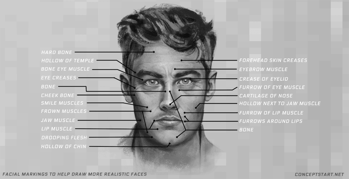 learn-facial-markings-for-drawing-faces